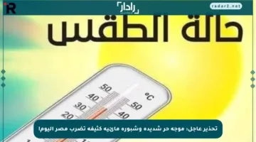 تحذير عاجل: موجة حر شديدة وشبورة مائية كثيفة تضرب مصر اليوم!